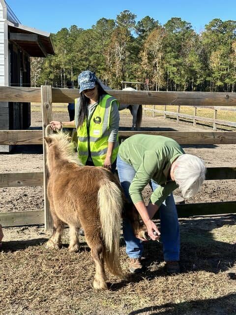 tn women and pony getting foot checked