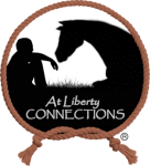 At Liberty connection logo 150
