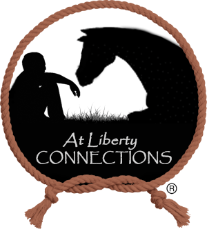 at liberty connections logo