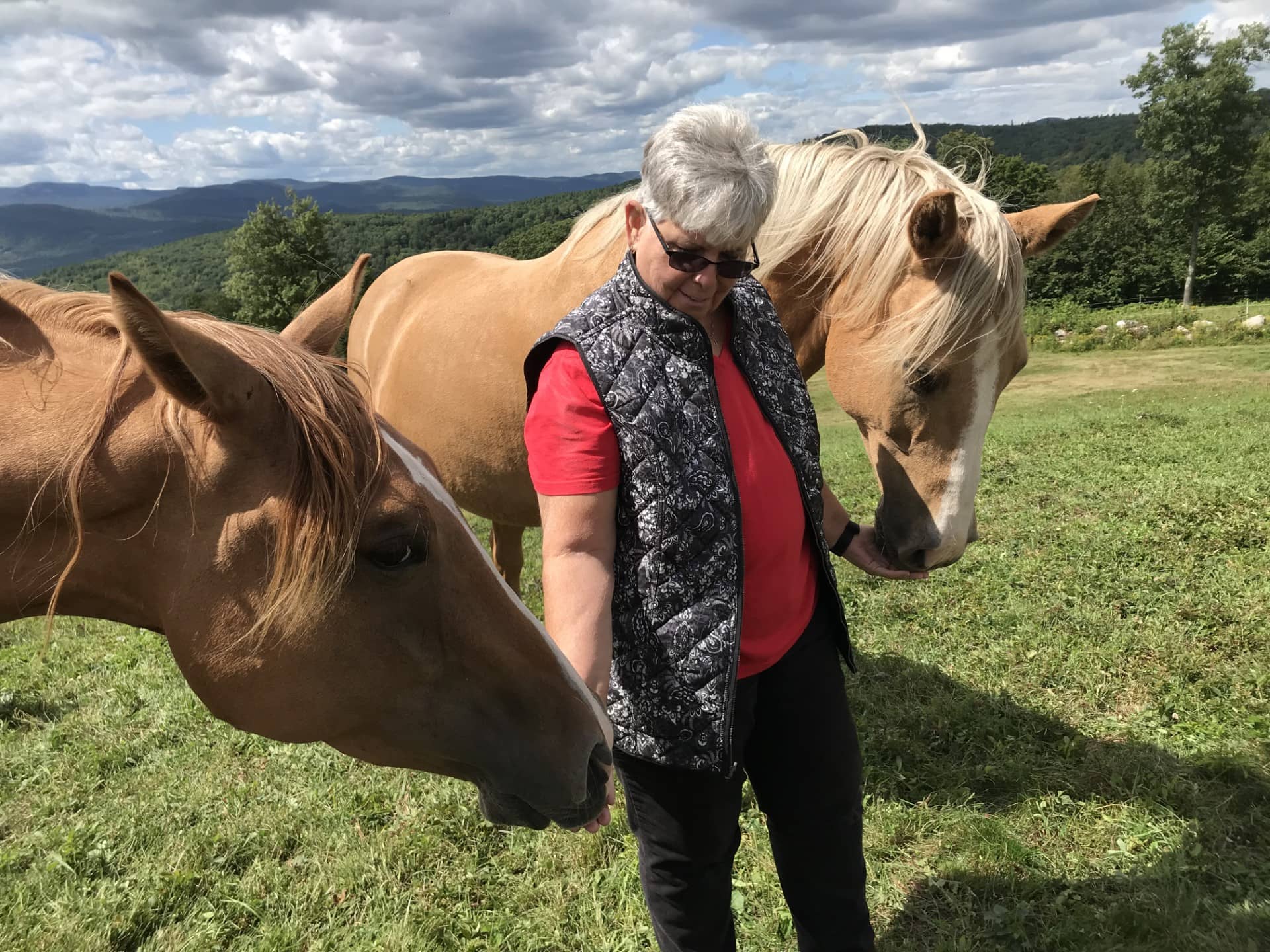 kathy with two horses