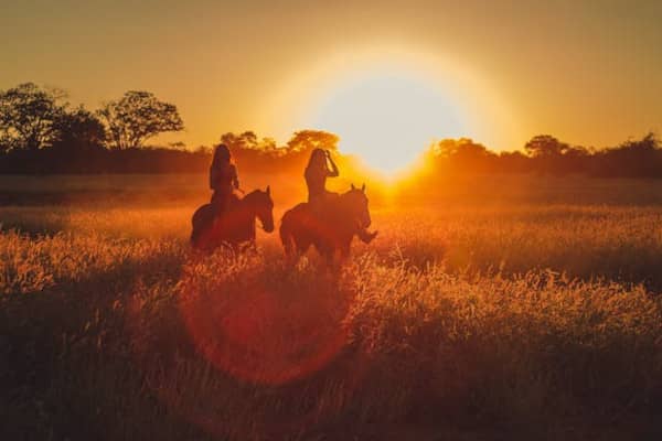 women riding horses at sunset