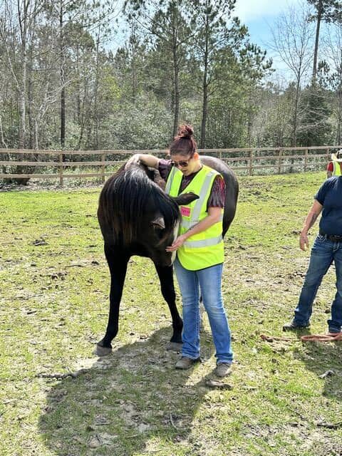 women and horse interacting