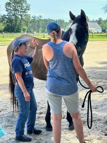 attendees working with horse (Small)