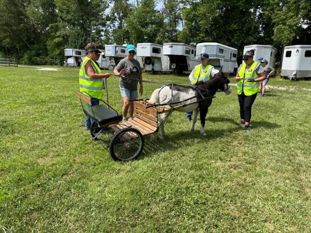 retreat attendess horse with cart (Small)