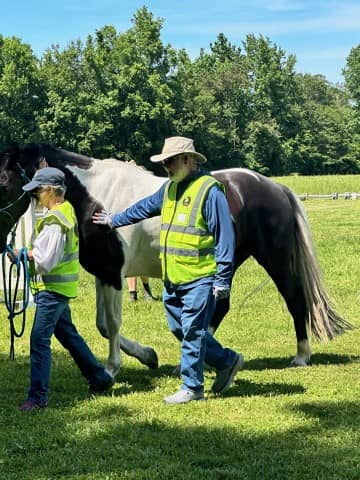 veteran couple walking with horse (Small)