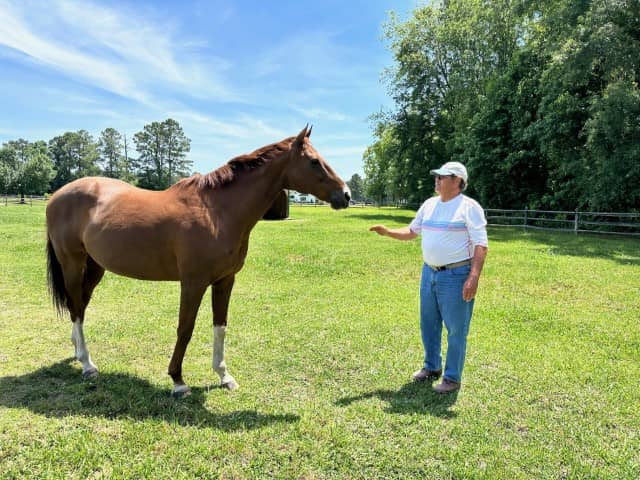 veteran interacting with horse (2) (Small)