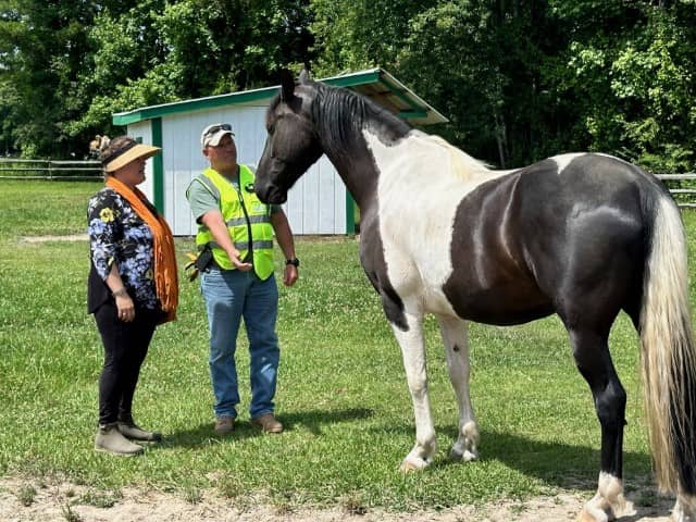 veteran interacting with horse (Small)